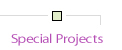 Special Projects
